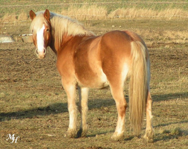 vybeh7